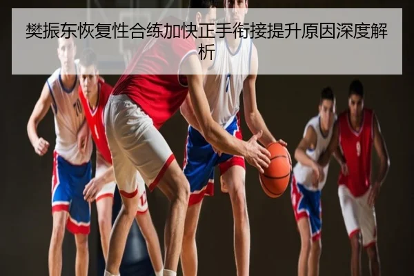 樊振东恢复性合练加快正手衔接提升原因深度解析